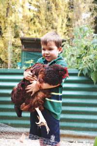 St Catherine's student Tommy with one of the school's resident chickens. 
