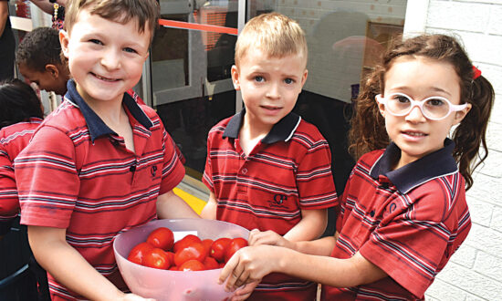 Students Jude, Noah and Amelia prepare tomatoes to be turned into passata.