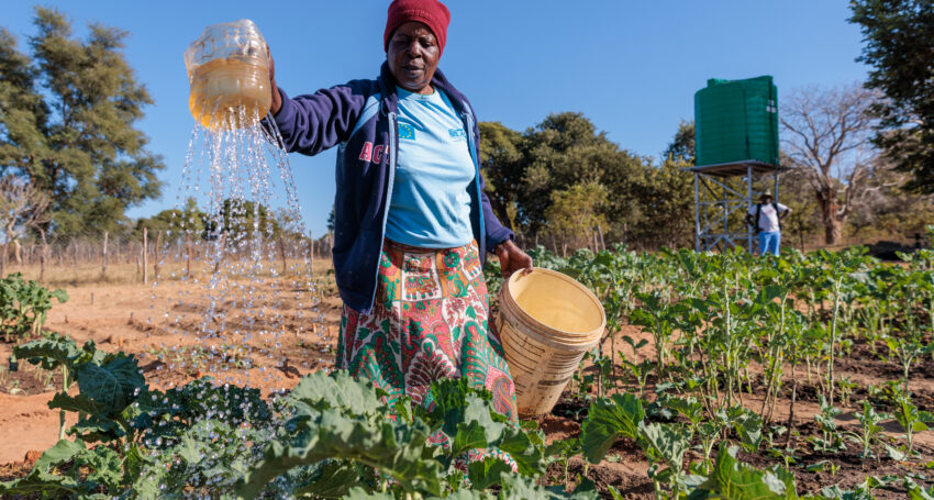 Priscilla Zimbabwe learned conservation farming to produce drought resistant crops. Photographer: Richard Wainwright
