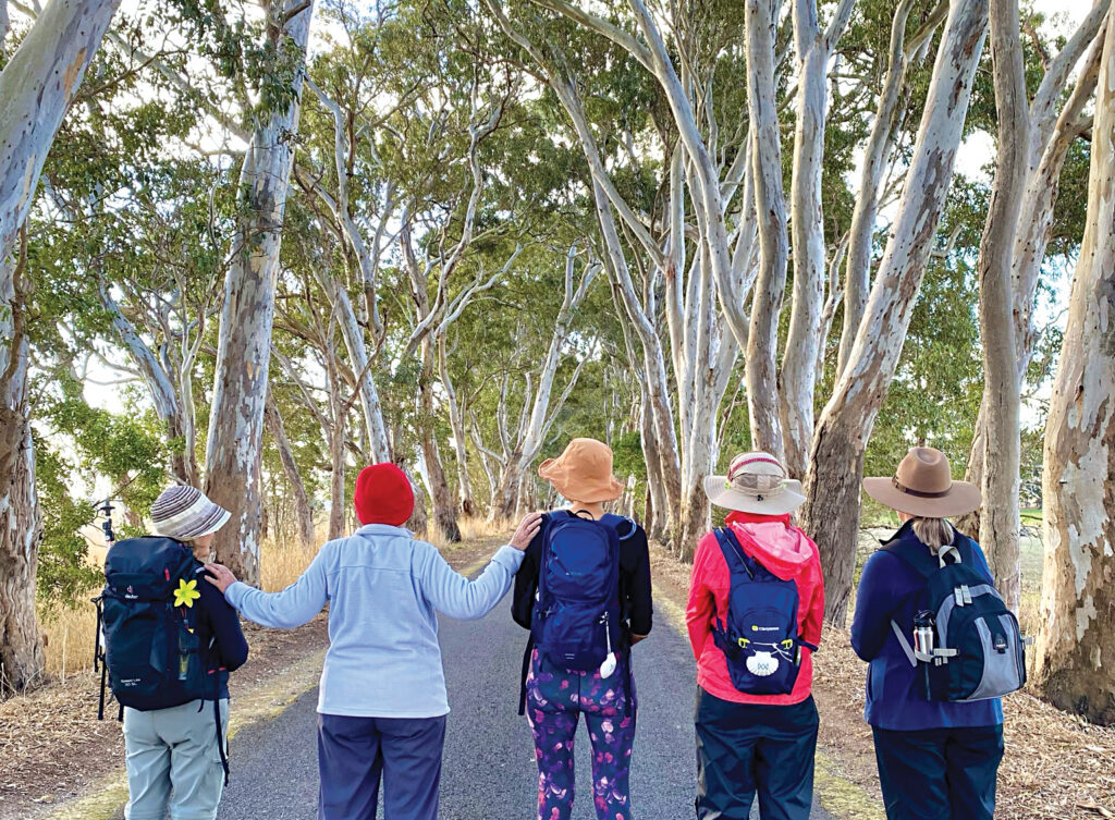 Pilgrims walking the SA way - The Southern Cross