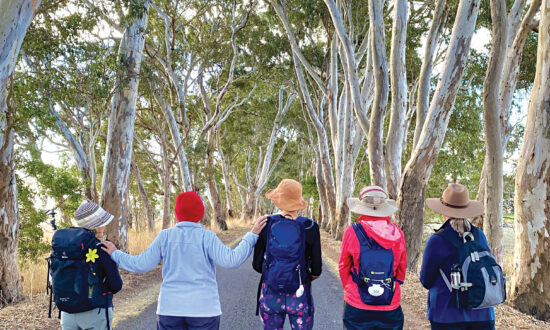 The Aussie Camino, Limestone Coast, South Australia.