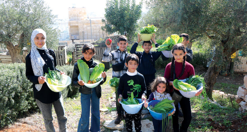 Little helpers at the Palestine Institute for Biodiversity and Sustainability of Bethlehem University. Pictures supplied by the Palestine Institute for Biodiversity and Sustainability.