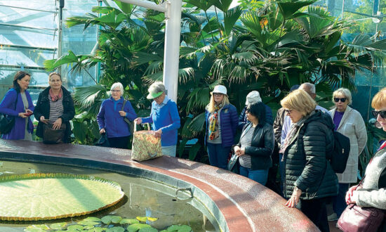 Laudato Si' at Adelaide Botanic Gardens.