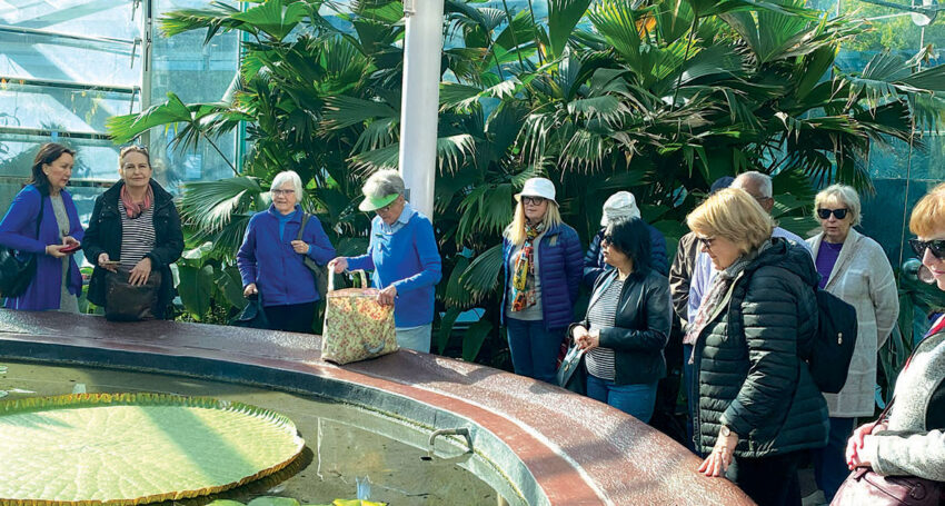 Laudato Si' at Adelaide Botanic Gardens.