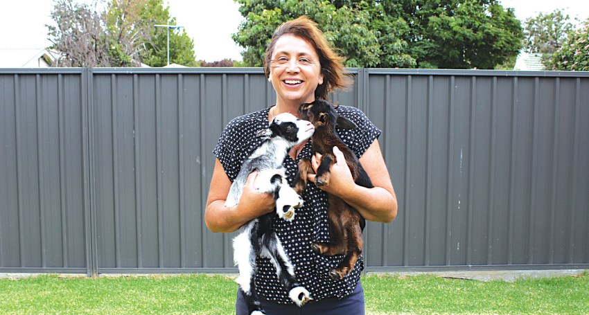 Liz Sparks with some of the furry friends part of Centacare's Animal Wellbeing Program.