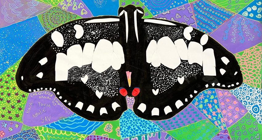 'Chequered Swallowtail Butterfly' by All Saints Catholic Primary School students Havannah, Harper and Tayah.