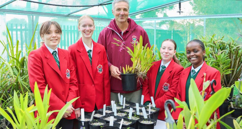 Kildare College teacher Paul Beltram propagating orchids with students Kaitlin, Brianna, Charlotte and Ivy.