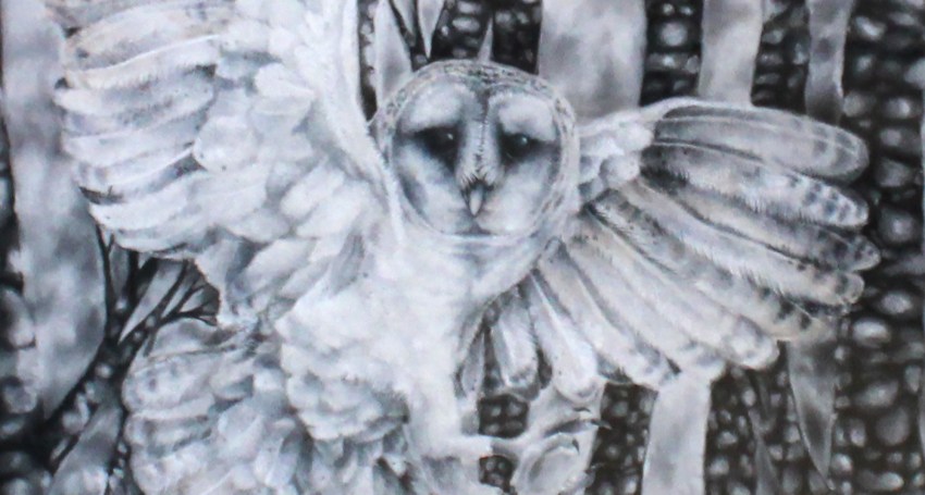 Mary MacKillop College 2024 graduate Sophia Guth who won the Eckersley’s Art and Craft Encouragement Award for her illustrations of barn owls.