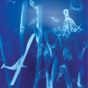 A print by All Saints student Krystal for the Echoes of the Ocean exhibition.